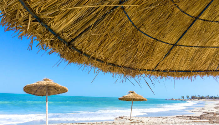 Deuxièmes Rencontres Franco-Tunisiennes de Pneumologie 2022